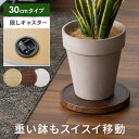 【5%OFFクーポン配布中】 プランタートレー プランタースタンド 植木鉢台 キャスター台 鉢皿 観葉植物 直径30cm キャスター付き 植木鉢台 北欧 おしゃ...