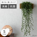 楽天インテリアショップ ココテリア【最大400円OFFクーポン配布中】 観葉植物 おしゃれ インテリア フェイク 消臭 抗菌 造花 フェイクグリーン CT触媒 壁掛け 卓上 癒し 華やか 植物 グリーン 消臭アーティフィシャルグリーン コンテナタイプ Sサイズ