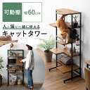 【クーポン配布中】 キャットタワー 本棚 ラック 収納棚 猫用品 猫用 ねこ ネコ キャットラック 木目 木製 スチール コンパクト おしゃれ 収納家具 5段 可動棚 シェルフ ヴィンテージ シンプル モダン 棚 オープンラック キャットタワーラック catra（キャトラ）