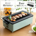 Toffy トフィー ラドンナ 焼肉ロースター スモークレス 煙が出ない 低煙 サイドヒーティング ミートロースター 1000w 2WAY バーベキュー スモークレスロースター 焼き鳥 本格 フッ素加工 コンパクト 焼き網 レトロ 省スペース スモークレス焼肉ロースター Toffy〔トフィー〕