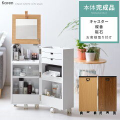 https://thumbnail.image.rakuten.co.jp/@0_mall/cocoterior/cabinet/98/k0n-kago1n.jpg