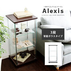 https://thumbnail.image.rakuten.co.jp/@0_mall/cocoterior/cabinet/kago-img1s/axskago1-3n.jpg