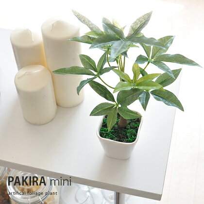 【50％OFFクーポン配布中】 観葉植物 光触媒 インテリア