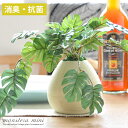  観葉植物 光触媒 インテリア 造花 人気 かわいい おしゃれ 消臭 防菌 V-CAT 卓上 人工 お手入れ不要 フェイクグリーン モンステラミニ 卓上観葉植物 光触媒人工植物 MONSTERA mini 〔モンステラミニ〕(引っ越し祝い 贈り物 新築祝い プレゼント)