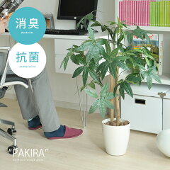 https://thumbnail.image.rakuten.co.jp/@0_mall/cocoterior/cabinet/kago-img2s/pakirakago1n.jpg