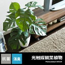 観葉植物 光触媒 インテリア 造花 人気 かわいい おしゃれ...
