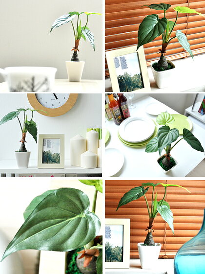 【25日まで！全品10％OFFクーポン配布中】 光触媒 観葉植物 造花 ミニ アロカシア ...