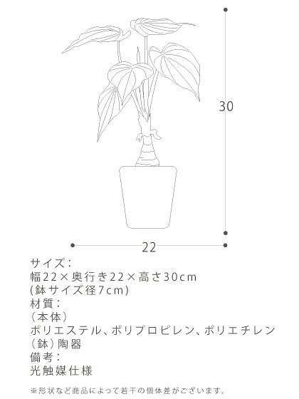 【25日まで！全品10％OFFクーポン配布中】 光触媒 観葉植物 造花 ミニ アロカシア ...
