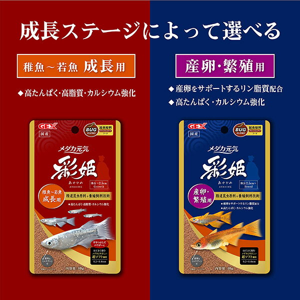 イチネンネットのメダカ元気彩姫産卵・繁殖用 100g 31264｜アングル2