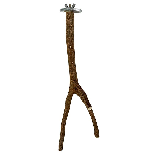 �������� �ˡ���ΤȤޤ��ڥ֥��� B116