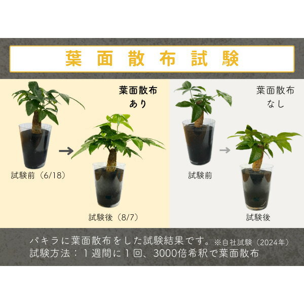 【あす楽】日東エフシー 水でうすめてミストする液肥（有機入り） 25ml 4946628831342