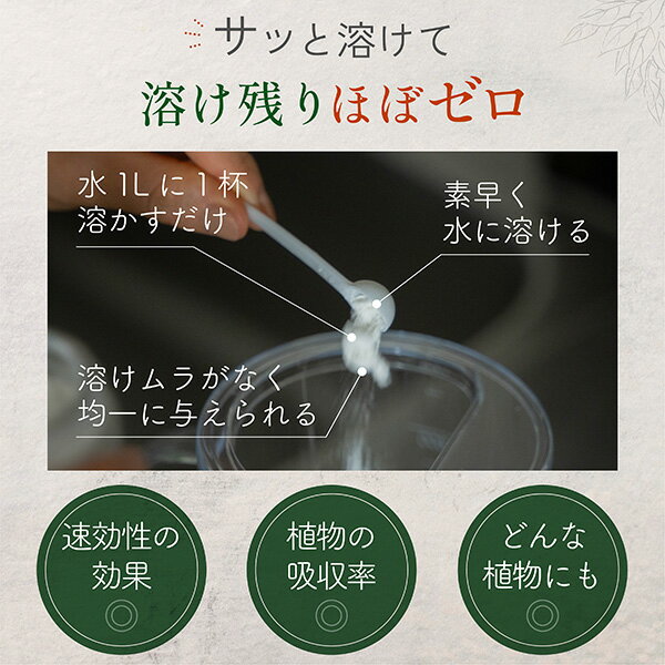 日東エフシー 水に溶かして速く効く粉末液肥 100g+添加液肥20ml 4946628831366
