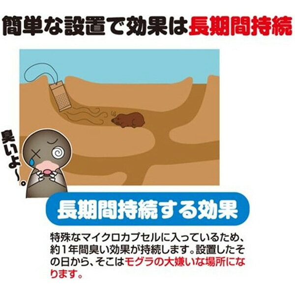 撃退 もぐら 3個入 4957798194618