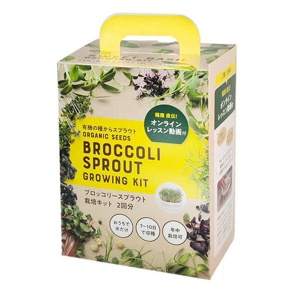 栽培キット2回分 ブロッコリースプラウト 4560496708454