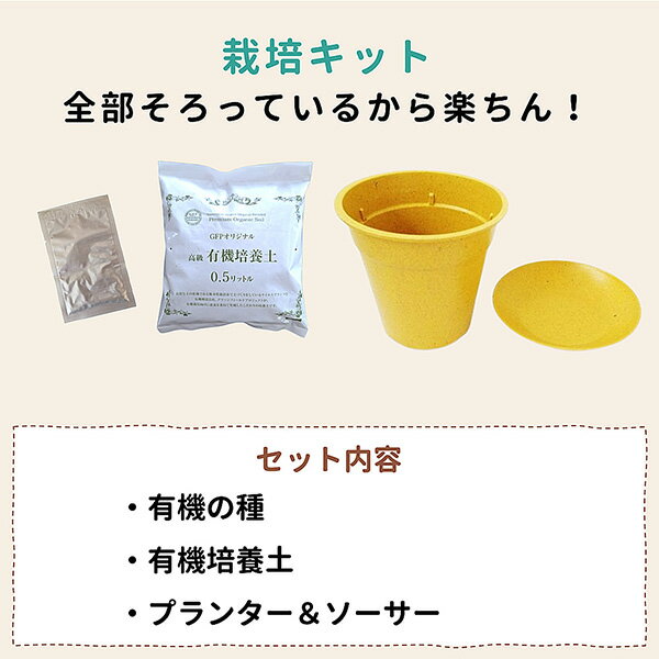 すべてオーガニックな栽培キット 葉ねぎ 4560496709871