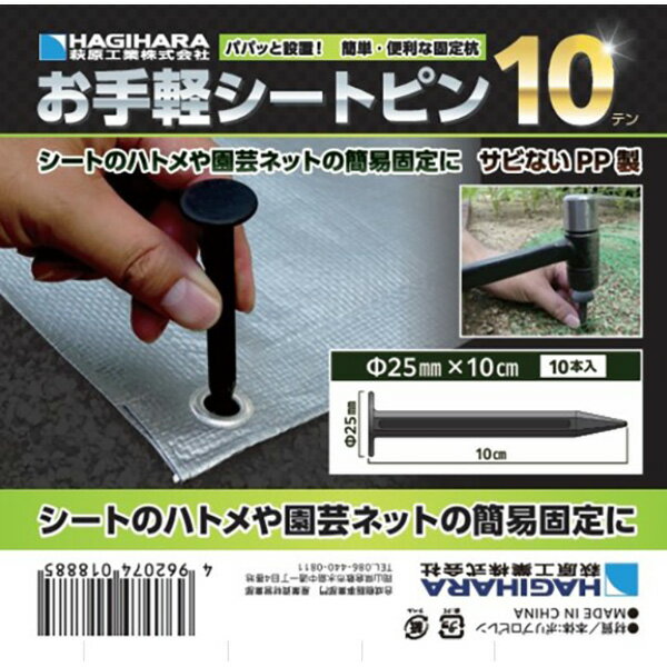 �븶���� ����ڥ����ȥԥ�10 136830