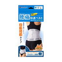 日進医療器 LE腰痛保護ベルトメッシュタイプMサイズ 782882(4)