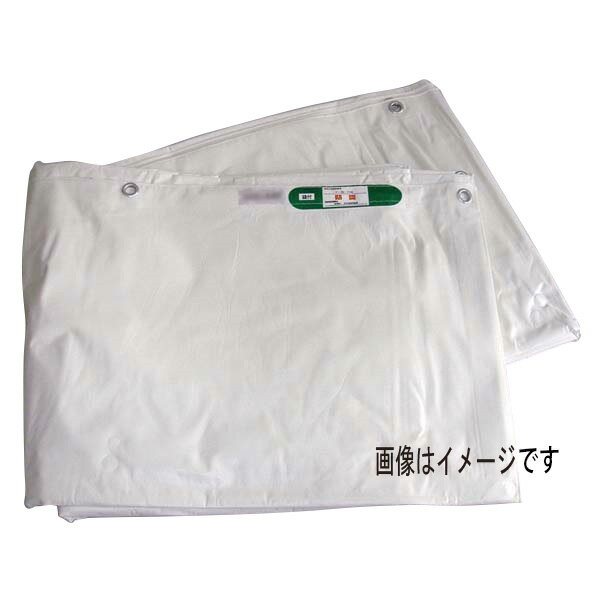 �ڥ᡼����ľ����WING ACE IM���ɱꥷ����3.6��5.4 FR-3654