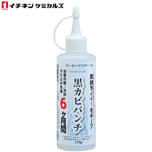 【アウトレットセール】【3/25限定★抽選で100％ポイント還元＋最大300円OFFクーポン有】あす楽 イチネンケミカルズ:コーキンマスター 黒カビパンチ 170g 002031 風呂カビ 防カビ 黒カビ 抗菌剤 耐性菌 イチネンケミカルズ