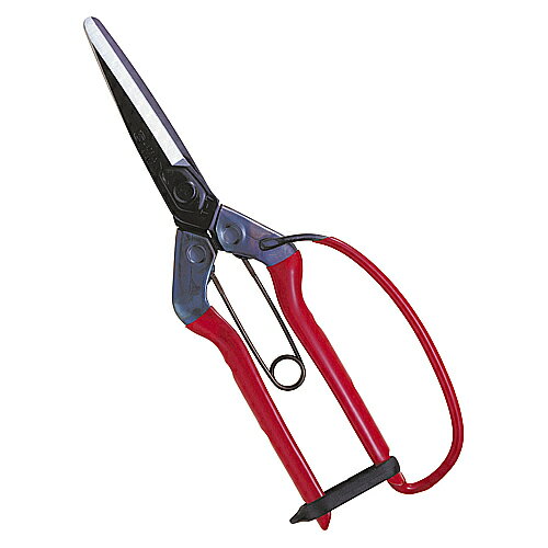 近正 青果鋏 先丸長刃バネ・ガード付 T-700G