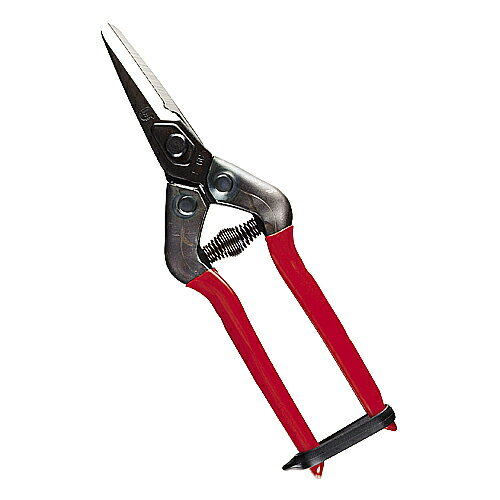 近正 農作業鋏 針金切り付先丸直刃コイルバネ E-6C 農作業 農園鋏 鋏 ハサミ E-6C