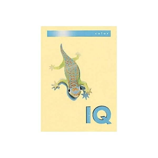 ���첰 �Х����ȥåץ��顼 A4Ƚ 500���� 80g 500�� ���꡼�� BT501 ���꡼�� ��̳���� ʸ˼�� ɮ���� �ե����� �������� ���ե��� BT501 32223