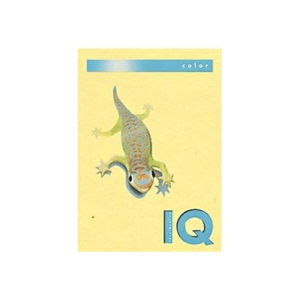 A4 Size Paper - 伊東屋 バイオトップカラー A4判 500枚入 80g 500枚 イエロー BT503 イエロー 事務用品 文房具 筆記具 ファイル 机上整理 オフィス BT503 32227