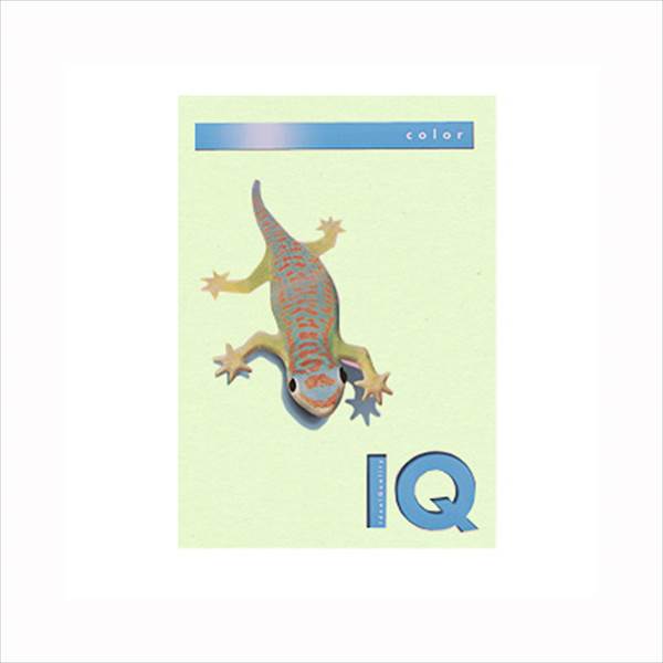 ���첰 �Х����ȥåץ��顼 A4Ƚ 500���� 80g 500�� ���꡼�� BT505 ���꡼�� ��̳���� ʸ˼�� ɮ���� �ե����� �������� ���ե��� BT505 32231