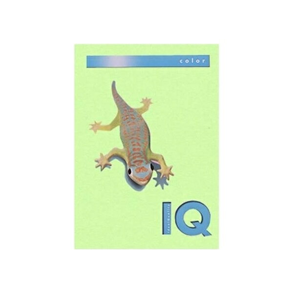 伊東屋 バイオトップカラー A4判 500枚入 80g 500枚 ミディアムグリーン BT506 ミディアムグリーン