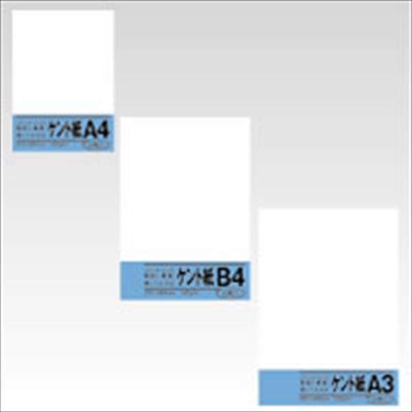 菅公工業 ケント紙 5枚 A3判 紙厚:0.2mm ベ063 事務用品 文房具 筆記 ファイル 机上整理 学習 幼児 児..