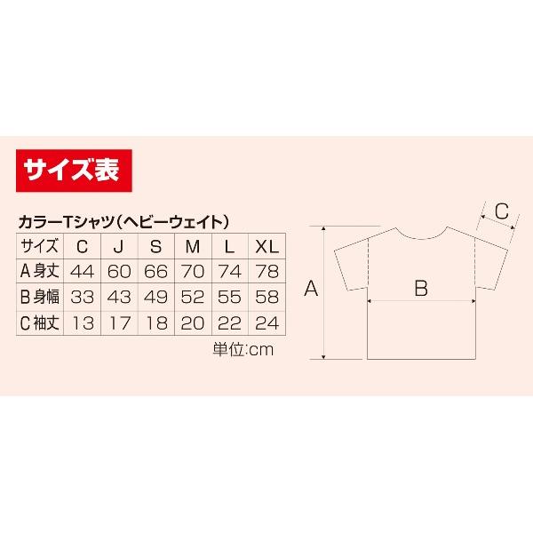 イチネンネットのアーテック カラーTシャツ J 025 グリーン （サイズ150） 38972 学校 行事 こども 研究 工作 実験 学習｜アングル3