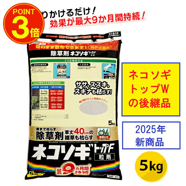 6/25ꥯݥоݡ  쥤ܡ:ͥȥåFγ 5kg 4903471102685  γ γ Ĺ³...