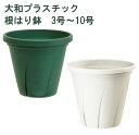 大和プラスチック 根はり鉢 スリット鉢 3号 4号 5号 6号 7号 8号 9号 10号 根腐れ対策 サークリング防止 おしゃれ 大型 ポット グリーン 通気性 スリットから空気を通す 鉢 植物 湿らせない ルーピング対策 サークリング 根 植え替え 根腐れ防止 園芸