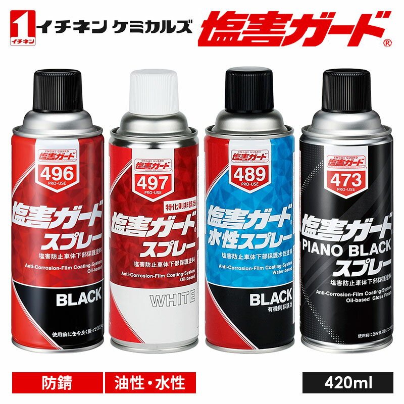塩害ガードスプレー BLACK 420mL×6本 塩害ガード スプレー ブラック 黒 420ml 密着性 特化則非該当
