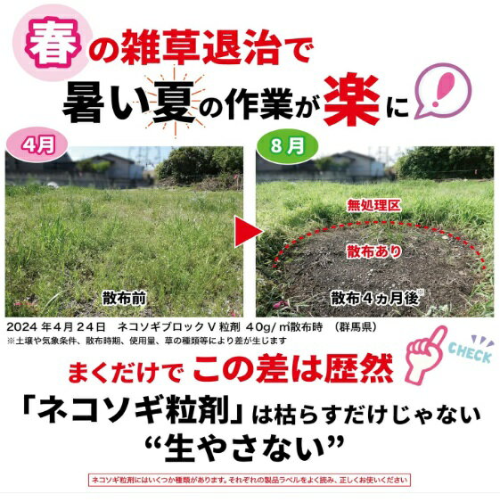 【あす楽】レインボー薬品 ネコソギブロックV粒剤 350g 4903471102593