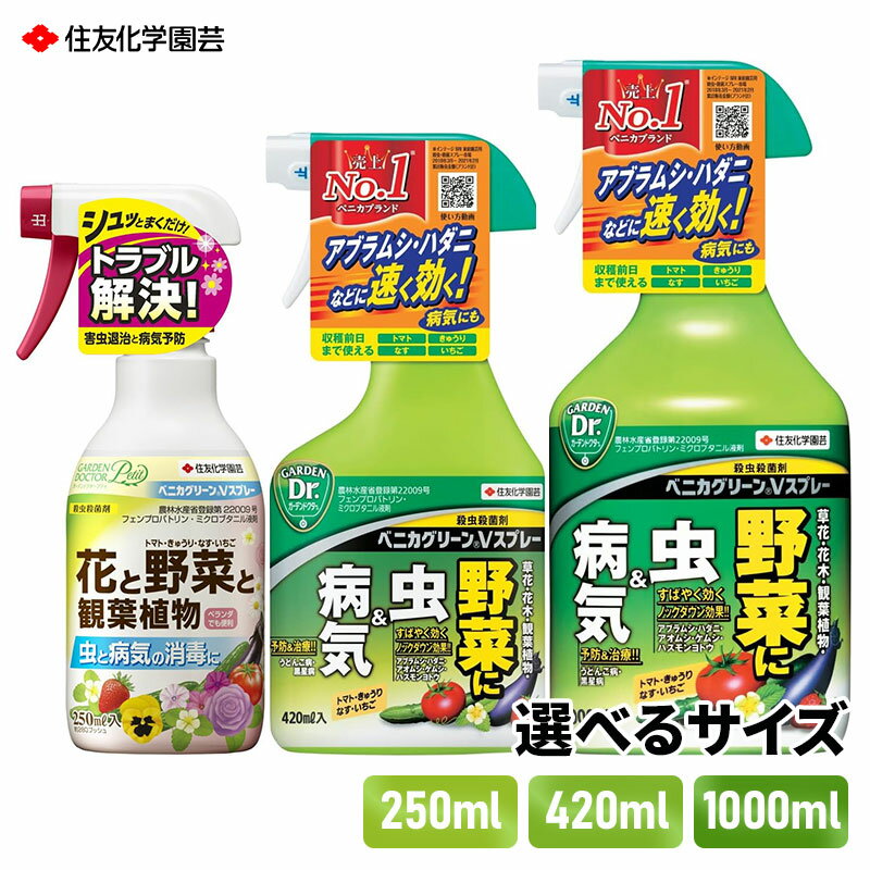 住友化学園芸 ベニカグリーンVスプレー 250ml/420ml/1,000ml 殺菌 殺虫 速く効く 病害虫 病原菌 防除 ..