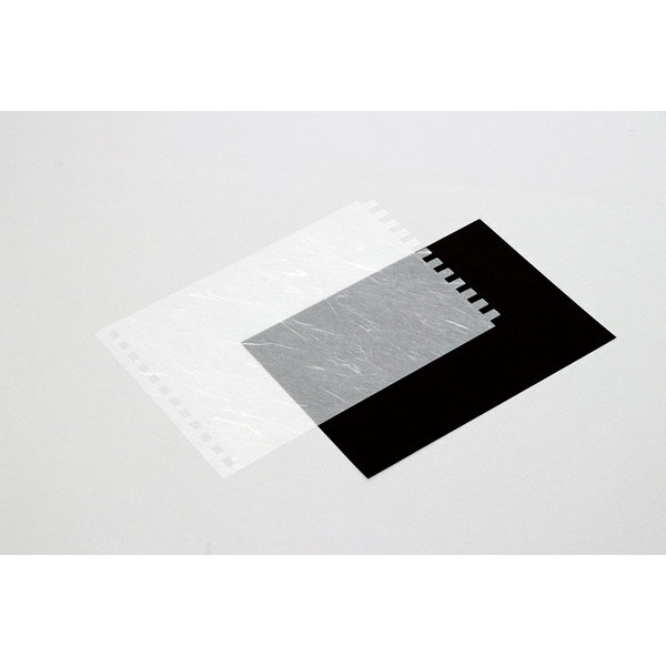 ƥå ñ»楢 餮 13545