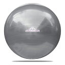 DABADA（ダバダ）:バランスボール シルバー balance-ball バランス 姿勢 エクササイズ balance-ball