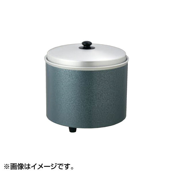 EBM 電気櫃エバーホット ライス用（中木枠付） NK-30型 木目 0819500