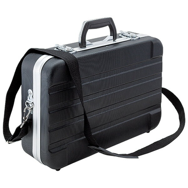 SK11（エスケー11） ABSケースABST-428 ABST-428 4977292979092