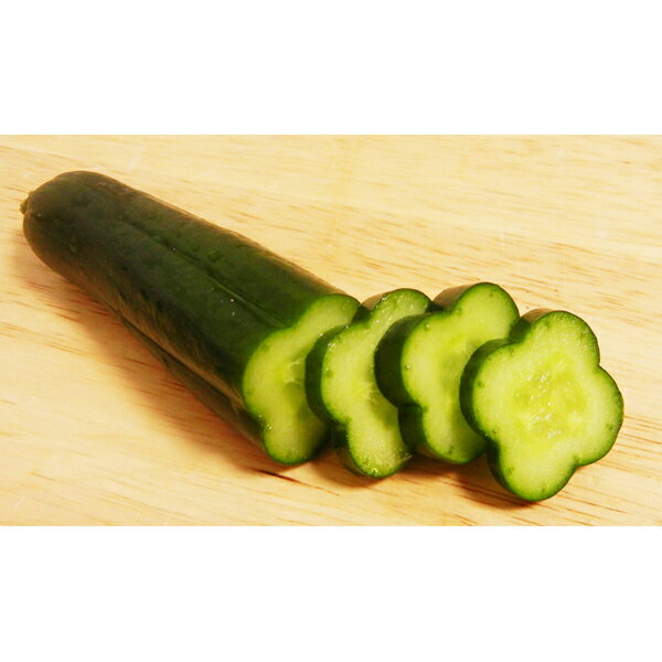 フォレスト:クローバーのきゅうり 1セット入