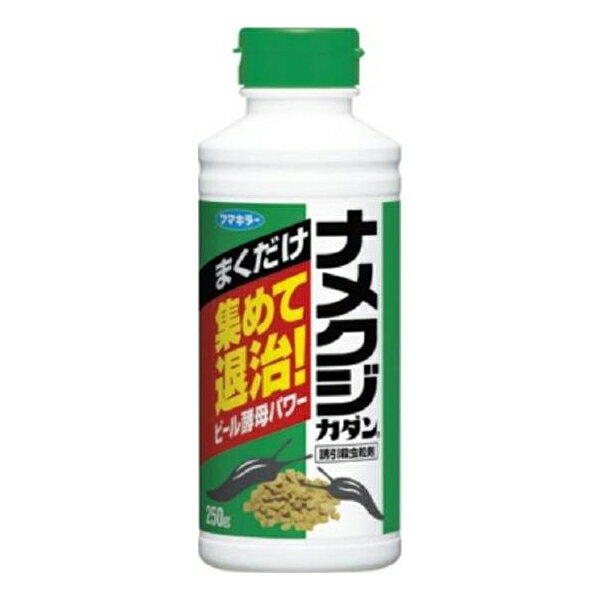 եޥ顼:ʥ᥯γ 250g 4902424426885 ʥ᥯ ĥ Ͷ 
