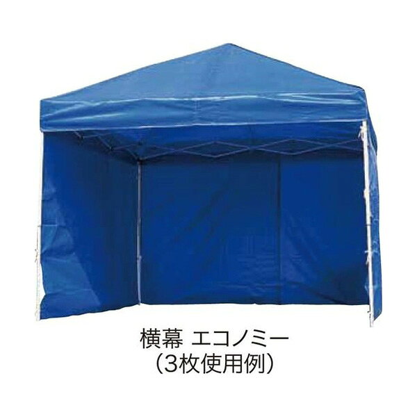 樂天商城 - 【メーカー直送】RAIMU（来夢） オプション DX30/DXA30/DR30-17用横幕 ブルー（エコノミー） EZP30-24BL