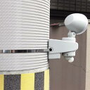 信栄物産:締め金具ステンレスベルト 20幅×900mm HS-209 締め金具ステンレス製 4953120071084