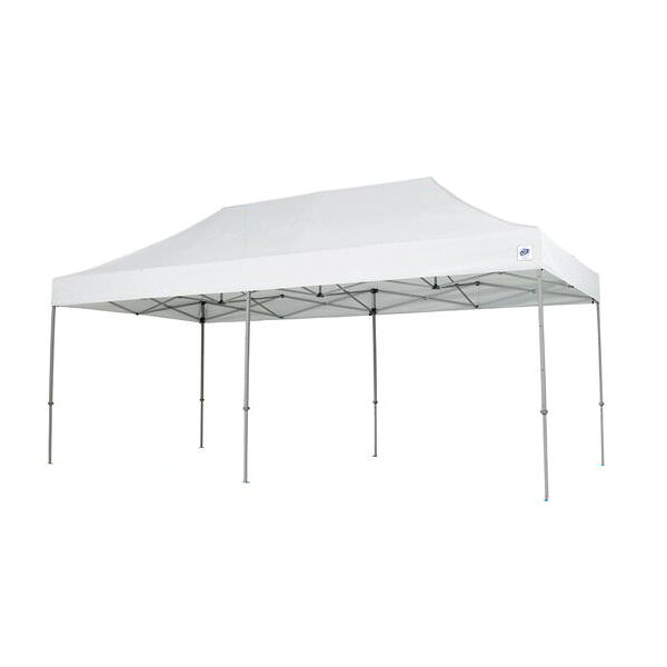 Other - 【メーカー直送】RAIMU（来夢） イージーアップ デラックスシリーズ（スチールフレーム） 3.0m×6.0m グリーン DX60-17-GR