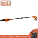 あす楽 BLACK&DECKER（ブラックアンドデッカー）:18V4Ah高枝ポールチェーンソー GPC1840LNJP 高枝 チェーンソー 充電 コードレス 枝切り ポール BLACK+DECKER（ブラックアンドデッカー） GPC1840LN-JP