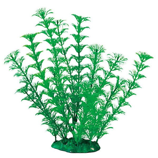 マルカン ルミナスプランツ L-2 NAP-241