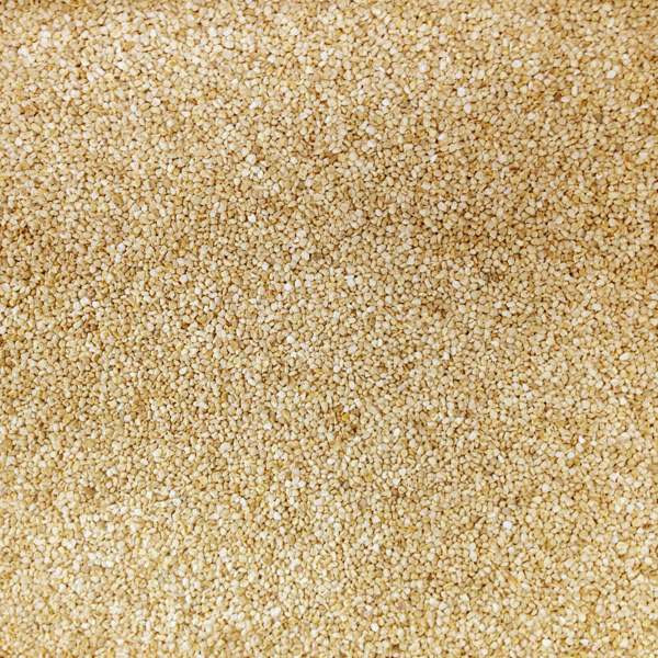 マルカン:コ-ンクリ-ンベッド 900g MR-834 小動物 マット 床材 敷材 とうもろこし うさぎ ハムスター MR-834