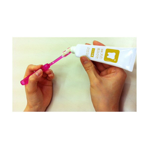 トーラス 国産 犬の歯みがき シニアペースト 38g 4512063151125 ペット 犬 猫 歯 はみがき ハミガキ 歯みがき デンタル ペット 犬 猫 歯 はみがき ハミガキ 歯みがき デンタル