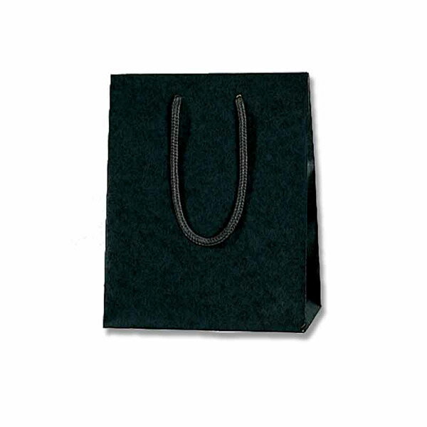 HEIKO（ヘイコー）:手提げ紙袋 カラーチャームバッグ 20-12 黒 10枚入り 005330104 5330104 手提げ紙袋 紙袋 袋 20-12 黒